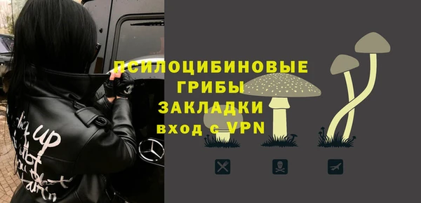 ПСИЛОЦИБИНОВЫЕ ГРИБЫ Киренск