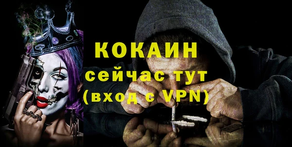 прущие грибы Карталы