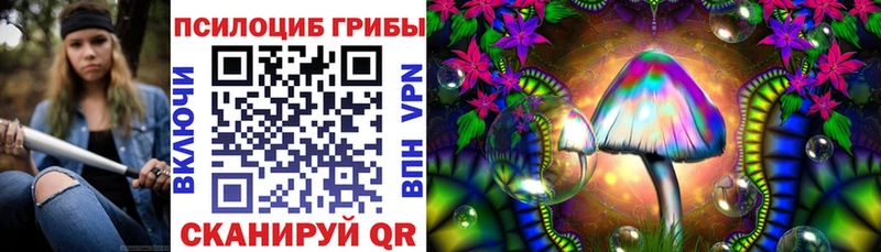 Купить  Приморск  Псилоцибиновые грибы мухоморы 