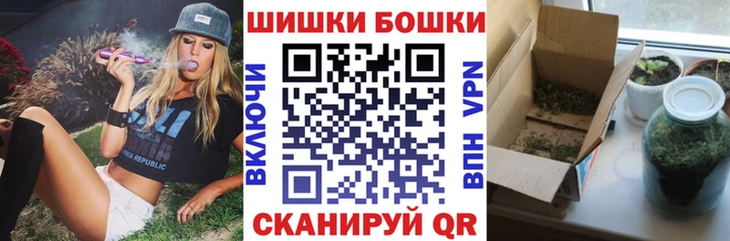 Шишки марихуана OG Kush  Купить закладки  Приморск 